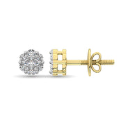 Diamond 1/5 Ct.Tw. Cluster Earrings in 14K Yellow Gold